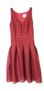 NWTBurgandy dress